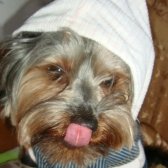 Елена Васильева, 12.03.1987, Санкт-Петербург