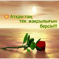 Бердибаева Ақмарал, Алматы