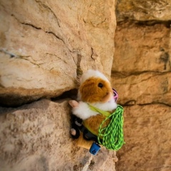 Дэв Огнев, 21.12.1991, Санкт-Петербург