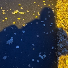 Niccolo Grigio, Тюмень