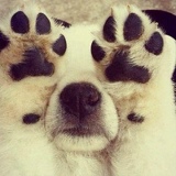 Радик Абугалиев, 11.02.1980, Уральск