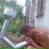 Олег Шулимов, Симферополь