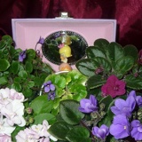 Екатерина Кабакова, Кострома