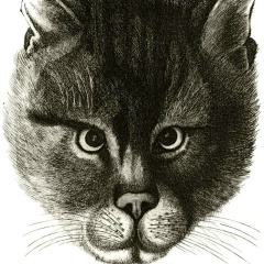 Владимир Жижков, 29.07.1978, Новосибирск