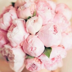 Баян Калманова, 05.04.1988, Москва