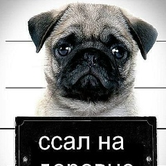 Дмитрий Ненашев