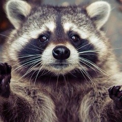 Анечка Лорина, Москва