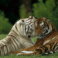 Евгения Пашолка, 11.09, Полтава