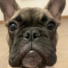 Дима Нам, Санкт-Петербург