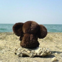 Денис Губайдуллин, 01.09.1985, Джубга