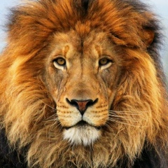 Asyljan Iskendirov, 16.01.1987, Астана