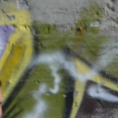 Леонид Елизаров, 29.05.1988, Санкт-Петербург