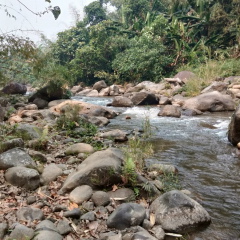 Ko Htike, 18.12.1982