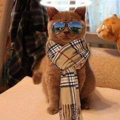 Кайрат Нургазин, 21.03, Костанай