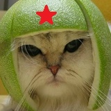 Николай Йо