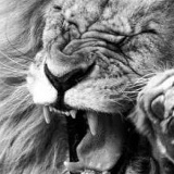 Юлия Князь, 29.07