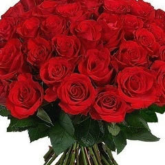 Мира Токторова, 31.12.1917, Москва