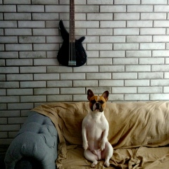 Айрат Хисамов, 11.04.1989, Москва