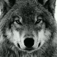 Алмаз Садуов, 31.12.1941