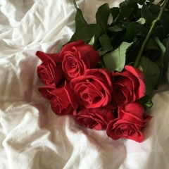 Рита Халухаева