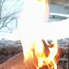 Григорий Коллегов, Киров