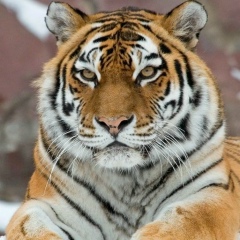 Игорь Прохоров, 24.02, Конаев / Капшагай