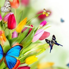 Газиза Мынбаева, 01.06.1992, Темирлановка