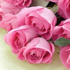 Ольга Ольга, 13.05, Москва