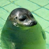 Владислав Прутков, 23.05.1990, Санкт-Петербург