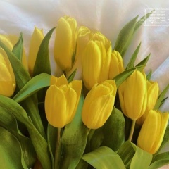 Сайзана Х, 11.11, Кызыл