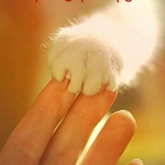 Ирина Емельянова, 07.05, Тюмень