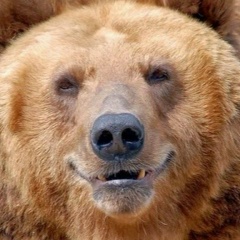 Михаил Скурыгин, 14.01