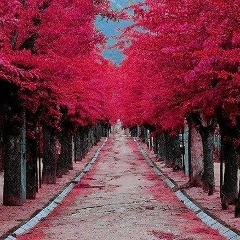 Олеся Кухарева, 22.12.2001, Белая Холуница