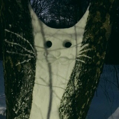 Давид Цукерман, 29.12.1984, Тюмень