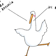 Катюша Денисова, 02.01.1988, Киев