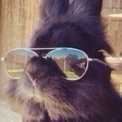 Адам Аушев, 26.06.1993, Карабулак