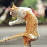 Kirillka Стано, 03.08, Москва