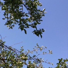 Дима Дронов, 24.01.1993, Тараз