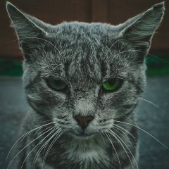 Алексей Терелецкий, 23.11, Москва