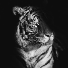 Александра Егорова, 23.12, Москва