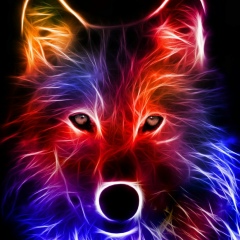 Serega Serega, 29.10.1991, Камышин