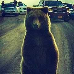 Dr Plastic, 08.05, Алматы