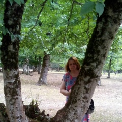 Нигяр Алиева, 13.01.1971, Баку