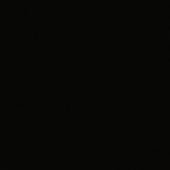 Денис Мальцев