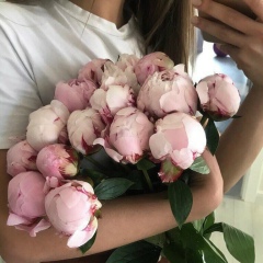 Dilya Burxanovna, Москва