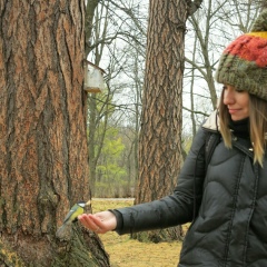 Дарья Панфилова, Санкт-Петербург