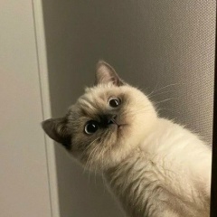 Hava Egiyeva, 29.02, Астана