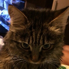 Артем Щербаков, 31.08.1990, Екатеринбург