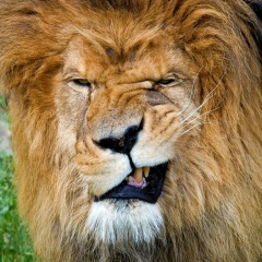 Тимур Машуков, 17.08, Саратов