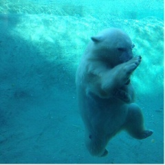 Алихан Макажанов, 15.03, Астана